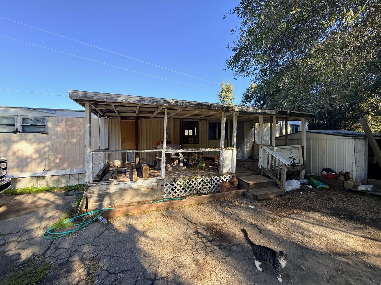 50155 Hangtree, Oakhurst, CA 93644
