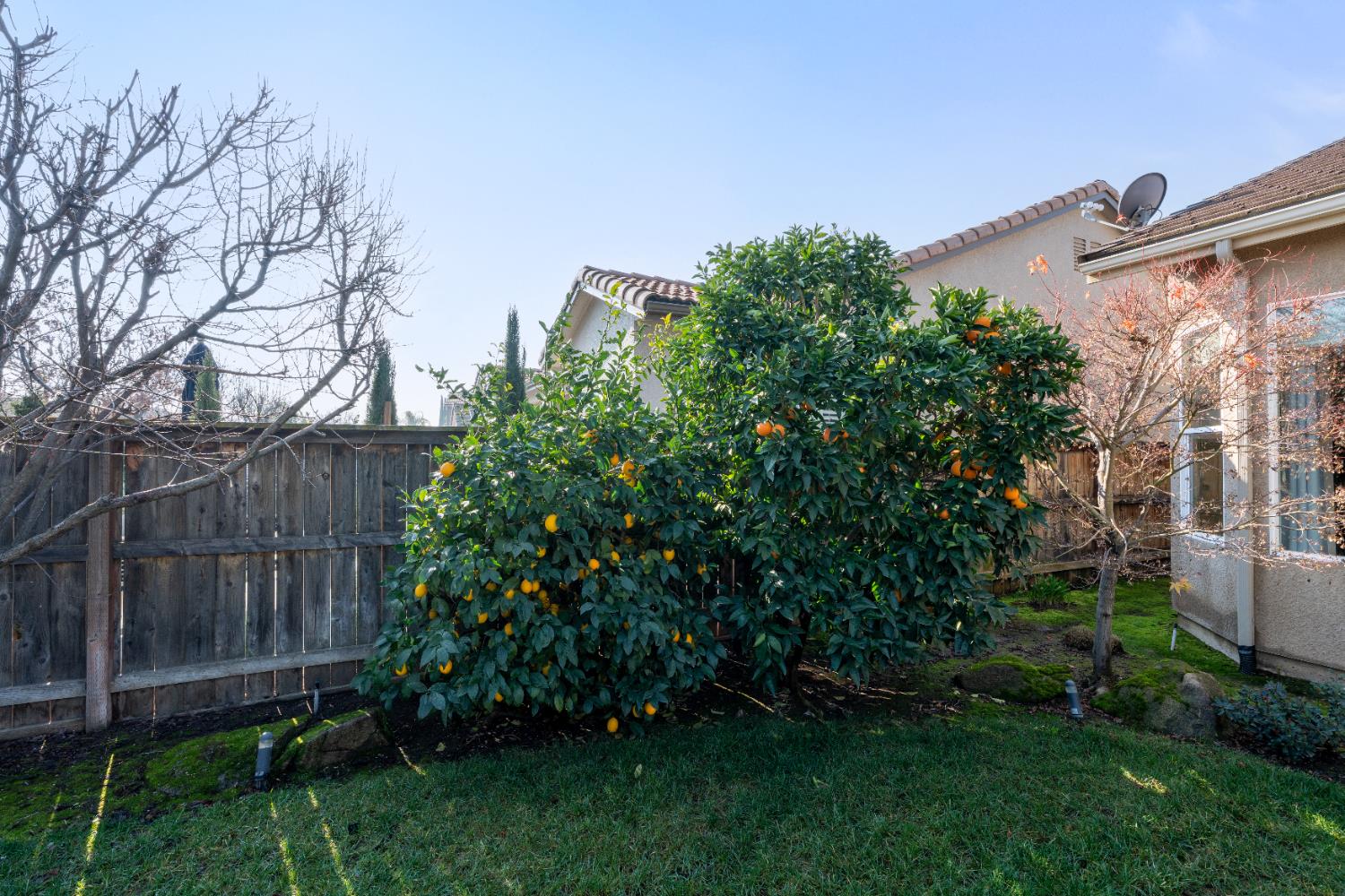 1979 N Nicolette Ave, Clovis, CA 93619