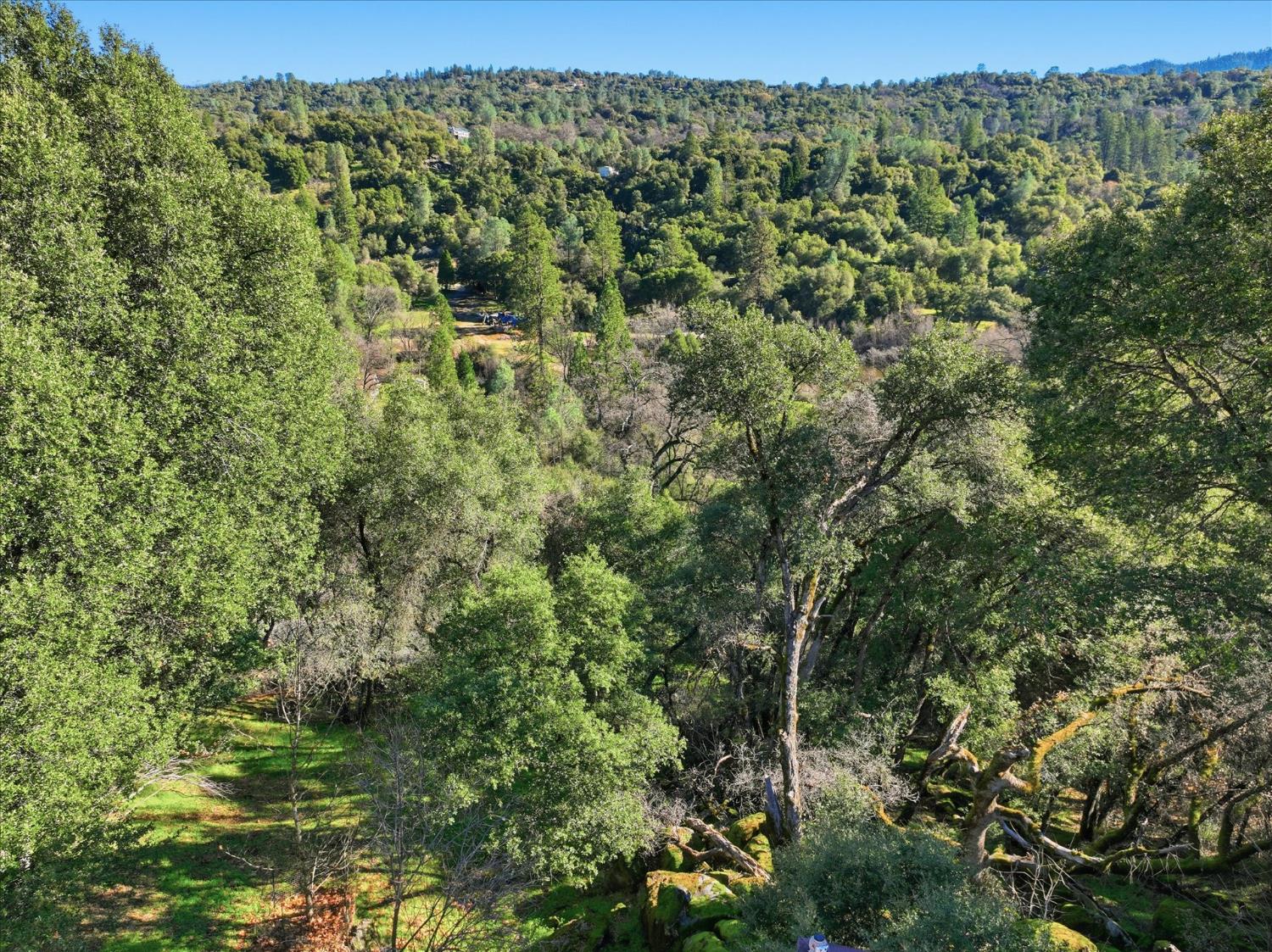 39309 Forest Park Ln, Oakhurst, CA 93644