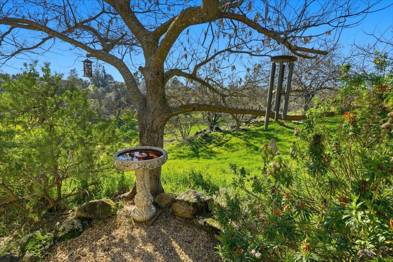 28924 Limestone Way, Coarsegold, CA 93614