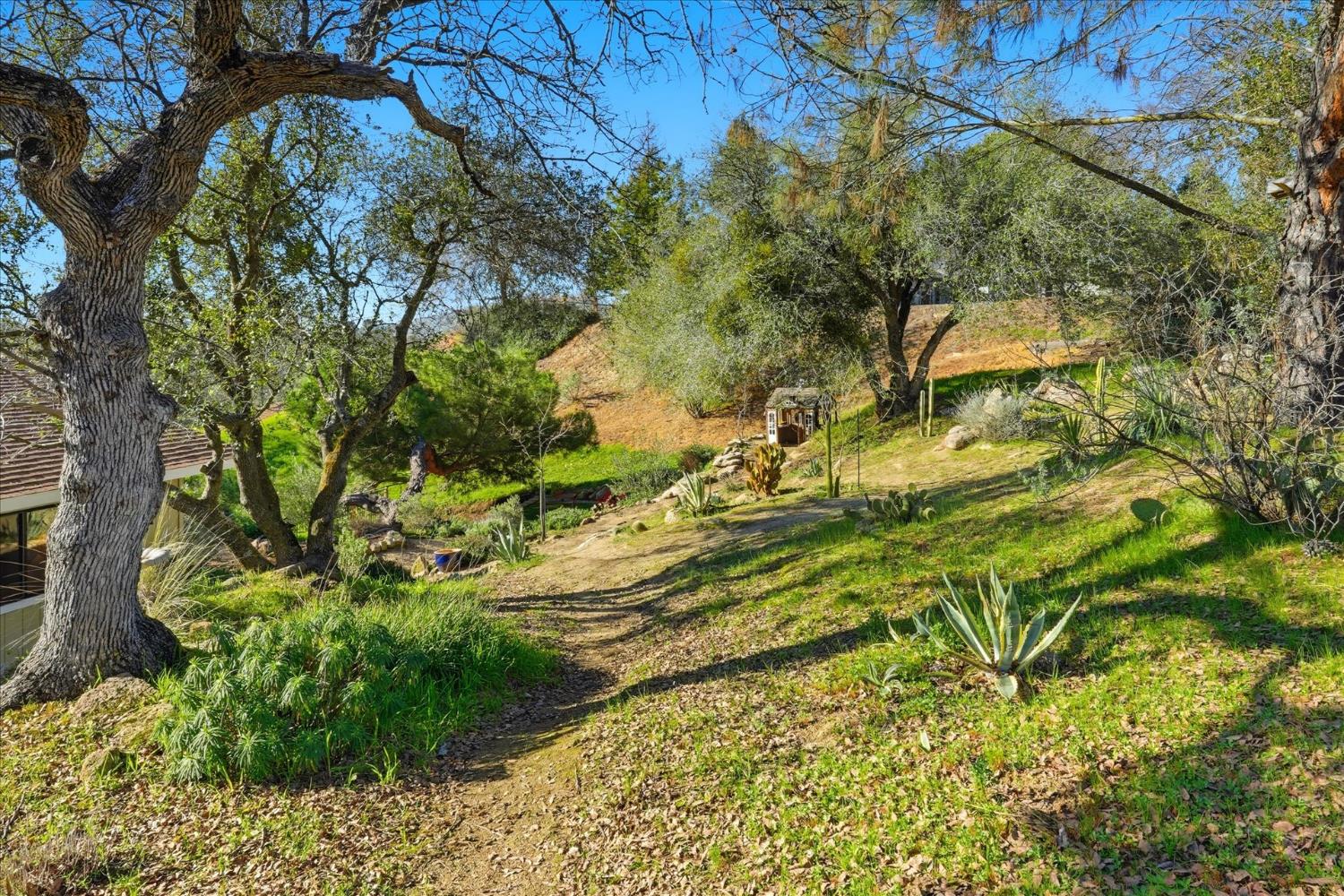 28924 Limestone Way, Coarsegold, CA 93614