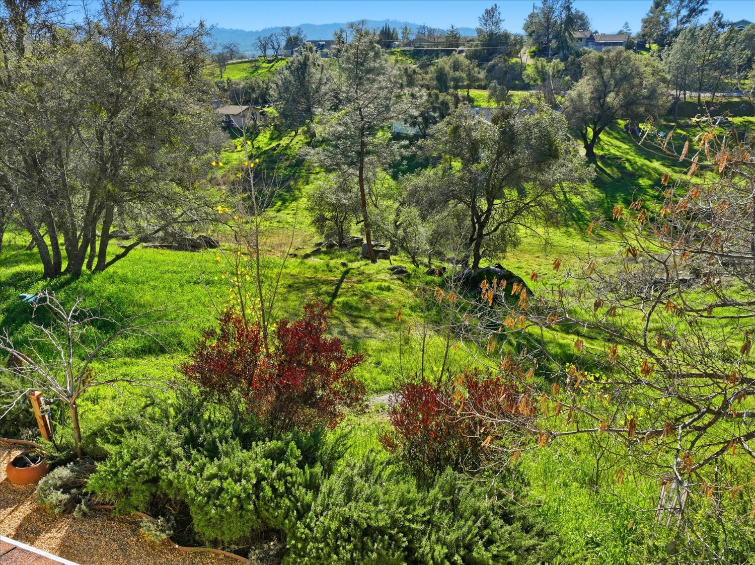 28924 Limestone Way, Coarsegold, CA 93614