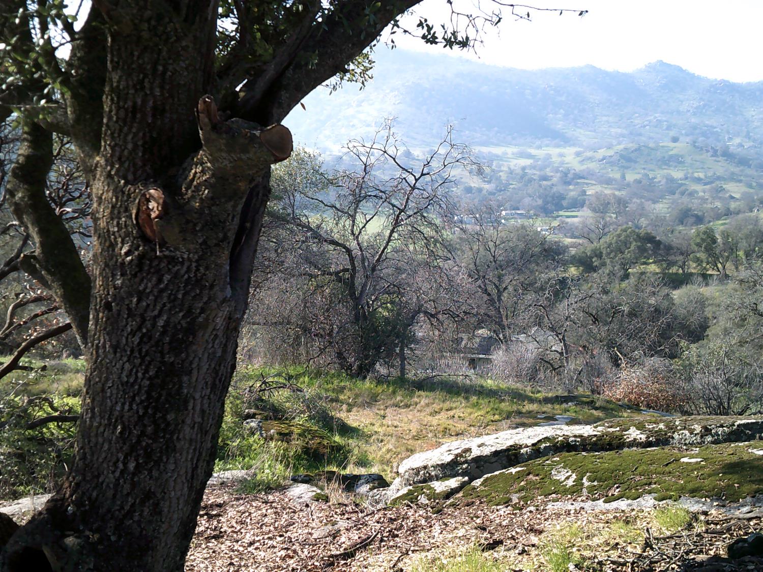 38949 Roundtree Ln, Yokuts Valley, CA 93675