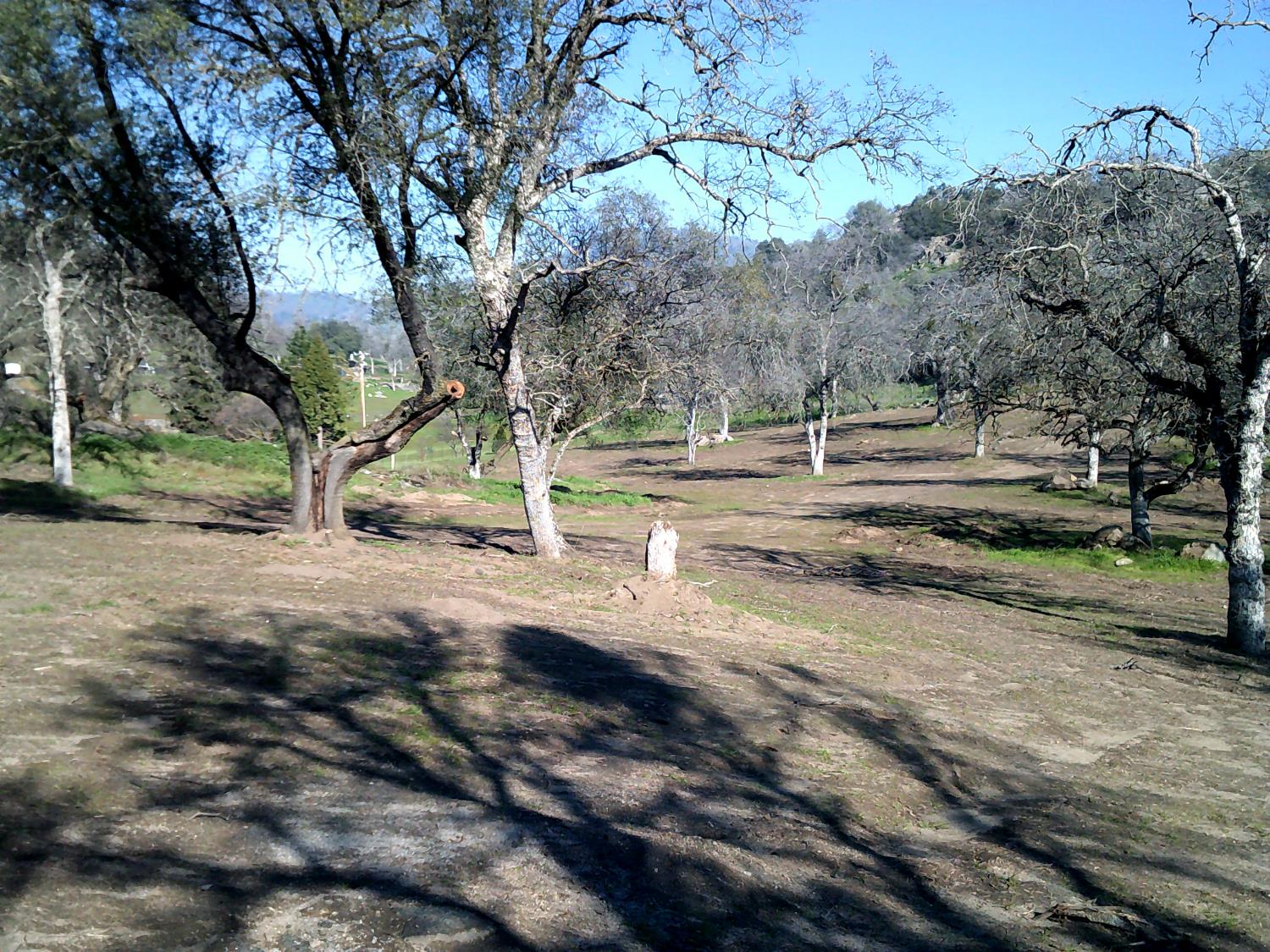 38949 Roundtree Ln, Yokuts Valley, CA 93675