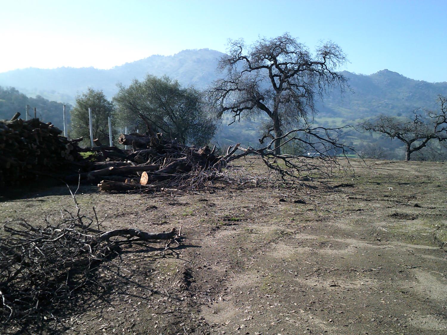 38949 Roundtree Ln, Yokuts Valley, CA 93675