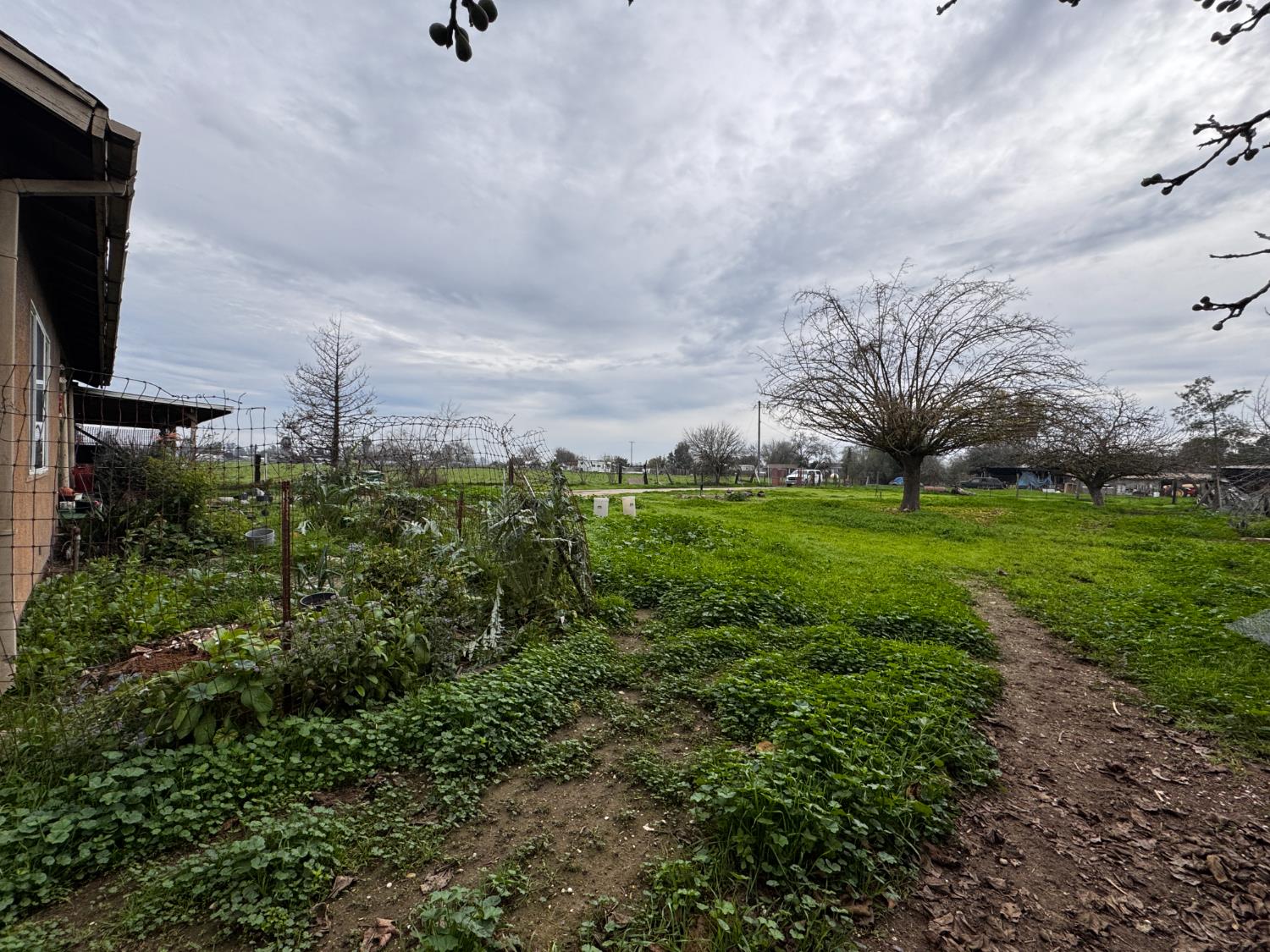 4500 Avenue 308, Visalia, CA 93291