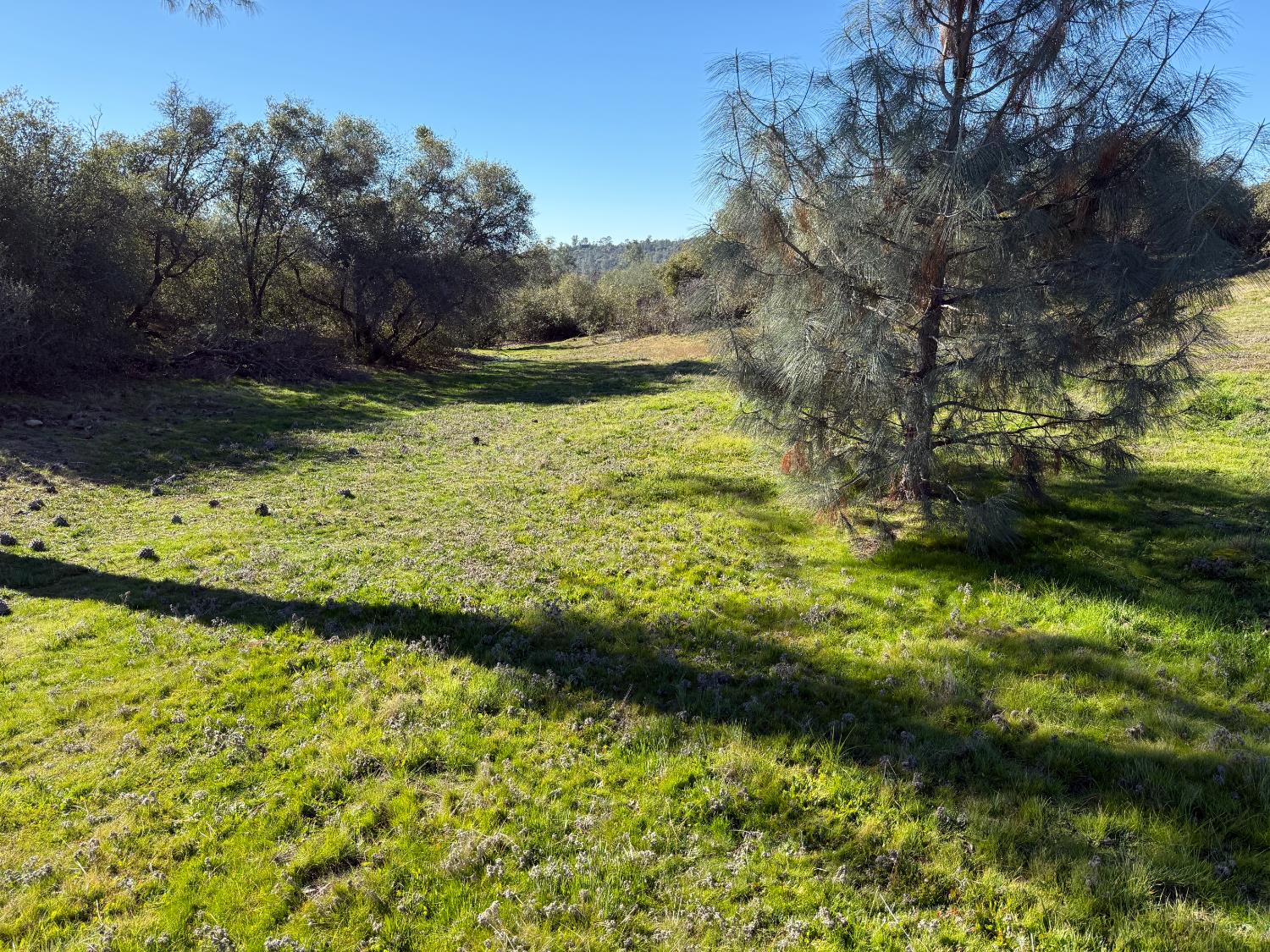 0 37.88 AC Flying O Ranch Rd., O neals, CA 93645