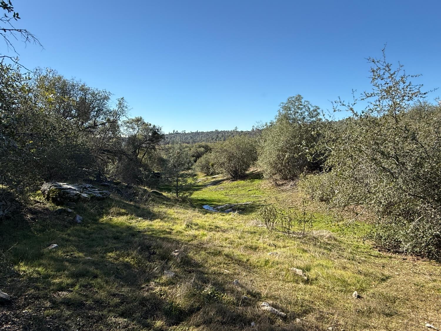 0 37.88 AC Flying O Ranch Rd., O neals, CA 93645