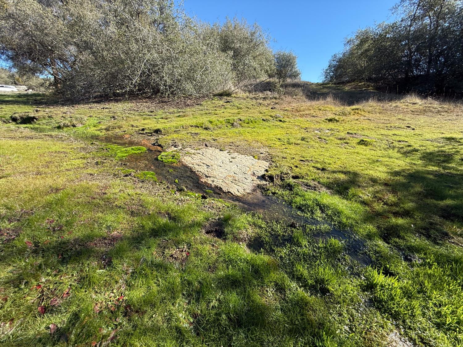 0 37.88 AC Flying O Ranch Rd., O neals, CA 93645