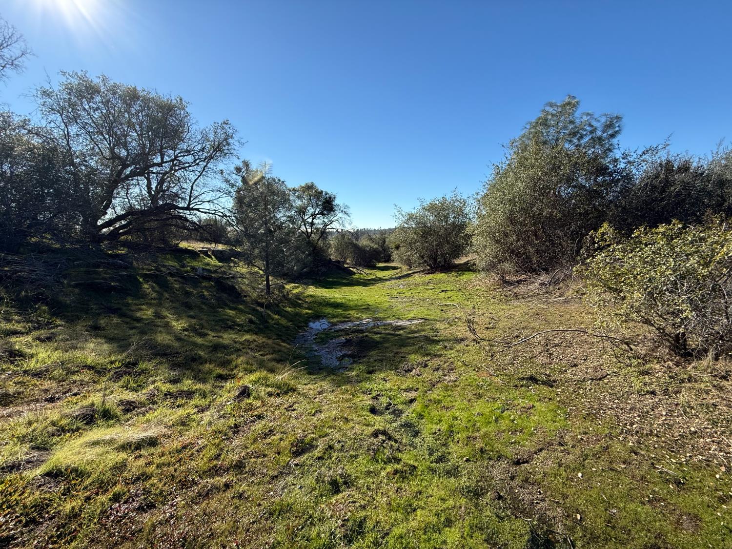 0 37.88 AC Flying O Ranch Rd., O neals, CA 93645