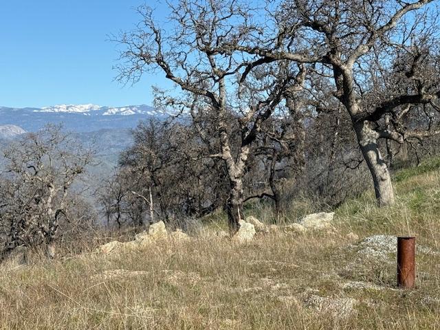 48 Watts Valley Rd, Sanger, CA 93657