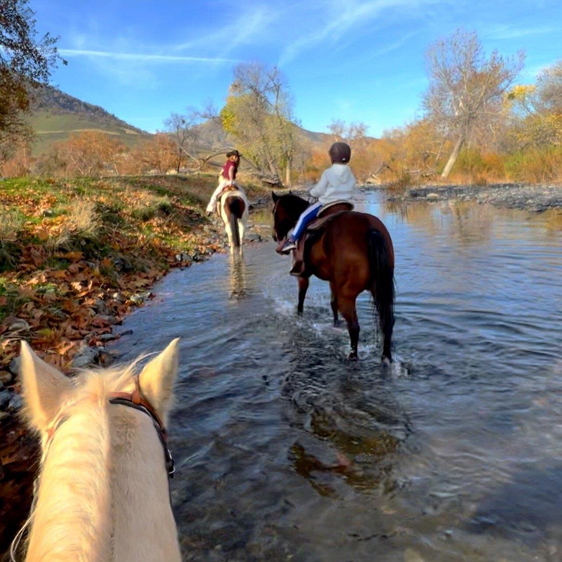 7767 Buckhorn Dr, Sanger, CA 93657