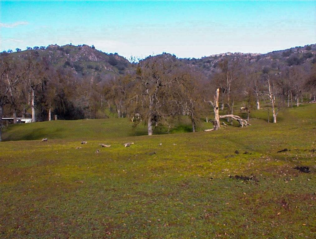 207 Mistletoe Rd, Yokuts Valley, CA 93675