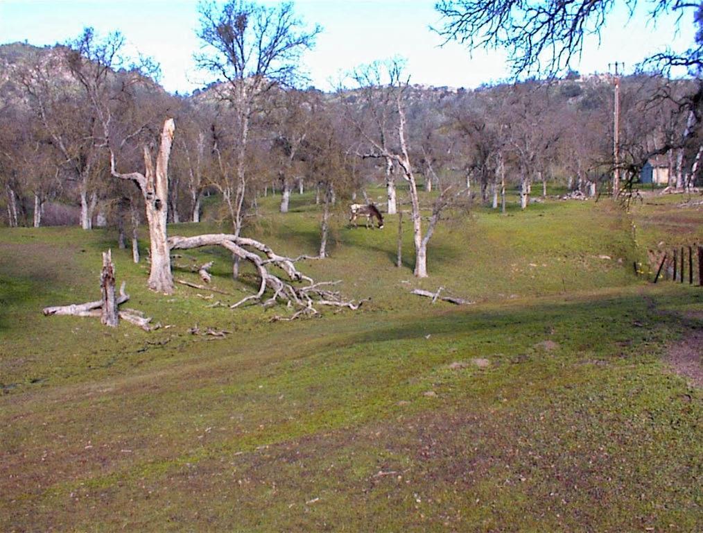 207 Mistletoe Rd, Yokuts Valley, CA 93675