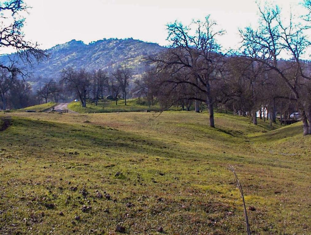 207 Mistletoe Rd, Yokuts Valley, CA 93675