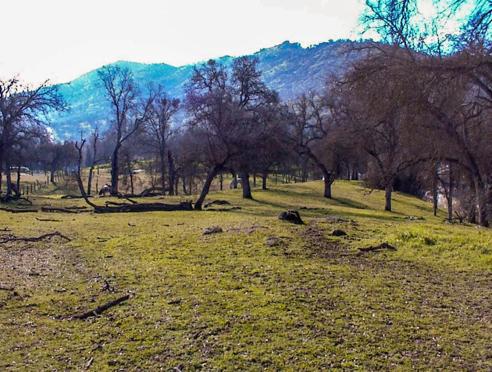 207 Mistletoe Rd, Yokuts Valley, CA 93675