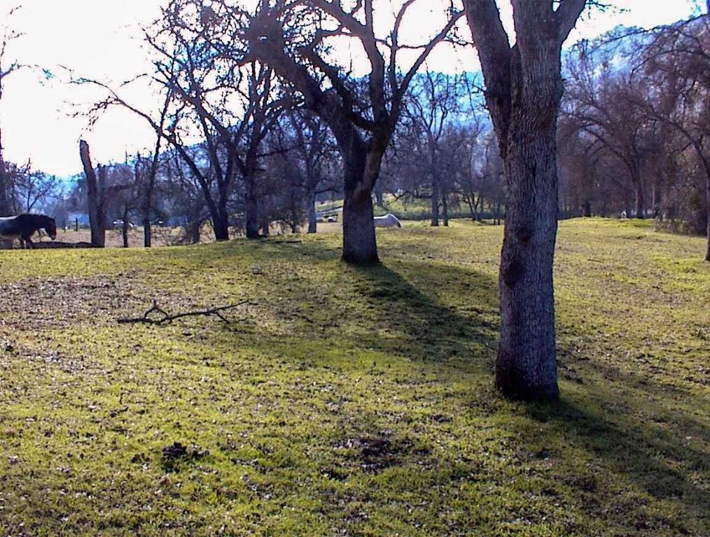 207 Mistletoe Rd, Yokuts Valley, CA 93675