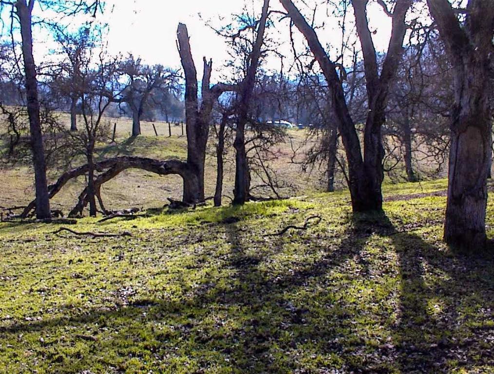 207 Mistletoe Rd, Yokuts Valley, CA 93675