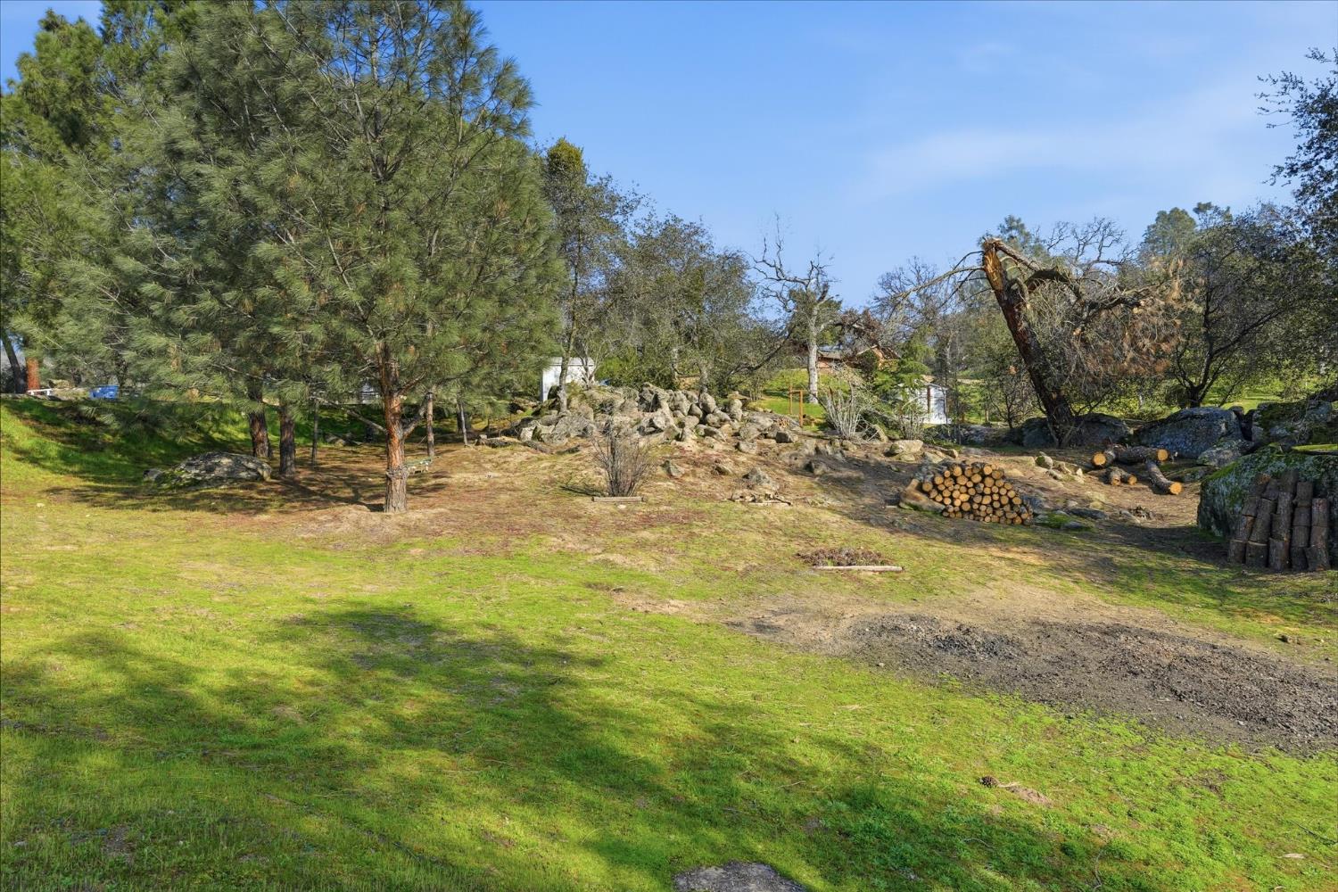 41322 Long Hollow Dr, Coarsegold, CA 93614