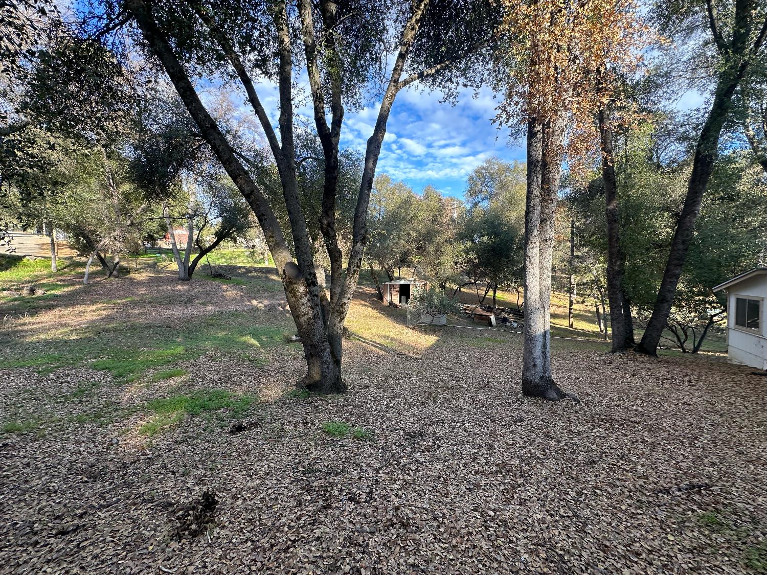 40653 Hodges Hill Dr, Oakhurst, CA 93644