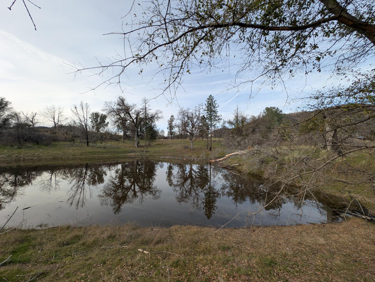 4103 Triangle Rd, Mariposa, CA 95338