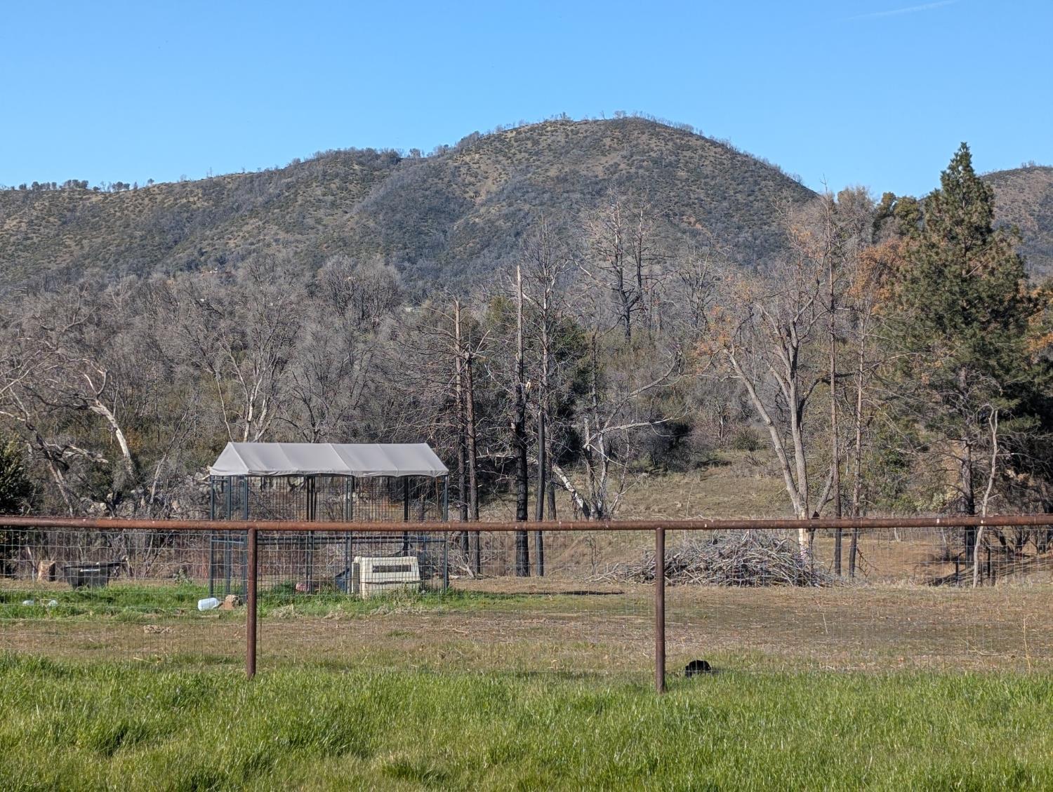 4103 Triangle Rd, Mariposa, CA 95338