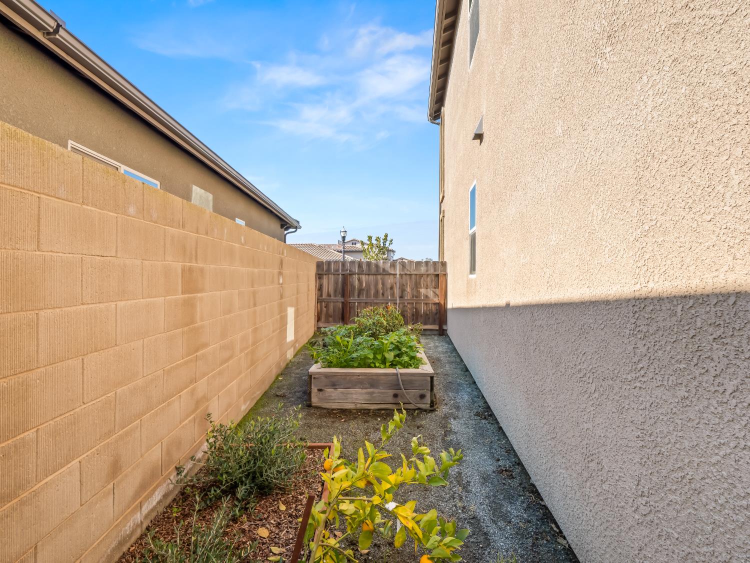 11584 N Via Venitzia Ave, Fresno, CA 93730