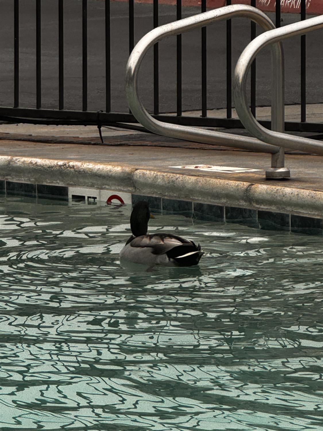 381 E Nees #122, Fresno, CA 93720