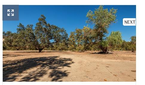 0 0 NE Mustang Rd, Sanger, CA 93657