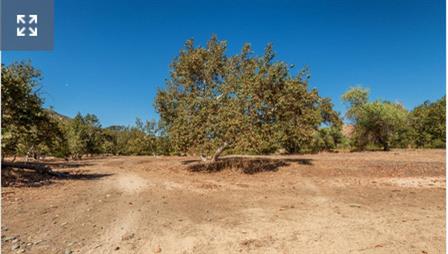 0 0 NE Mustang Rd, Sanger, CA 93657