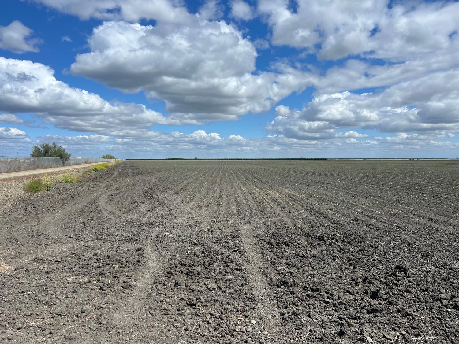 0 00 W Springfield Ave W, San Joaquin, CA 93660