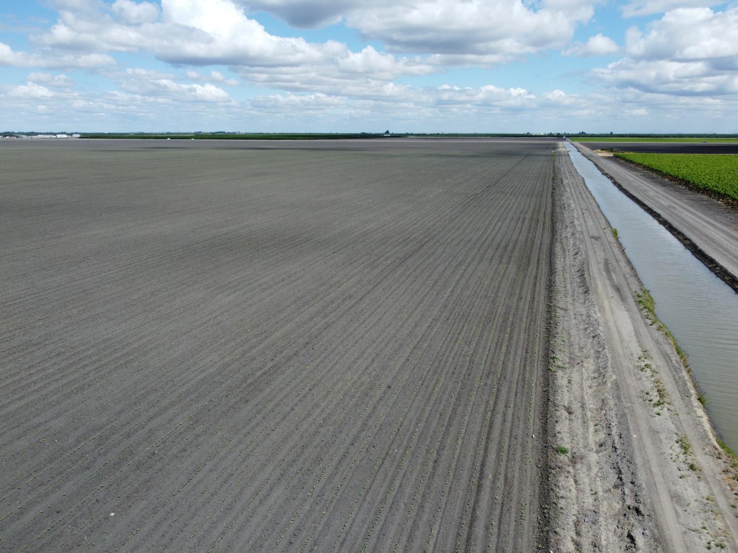 0 00 W Springfield Ave W, San Joaquin, CA 93660