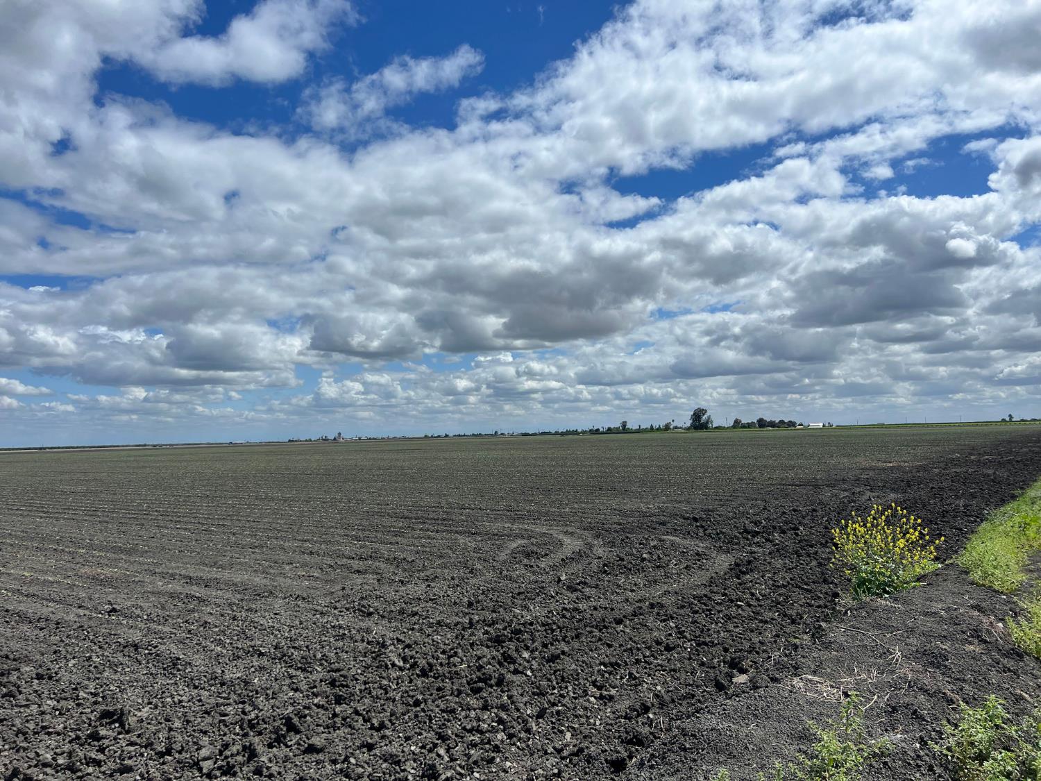 0 00 W Springfield Ave W, San Joaquin, CA 93660