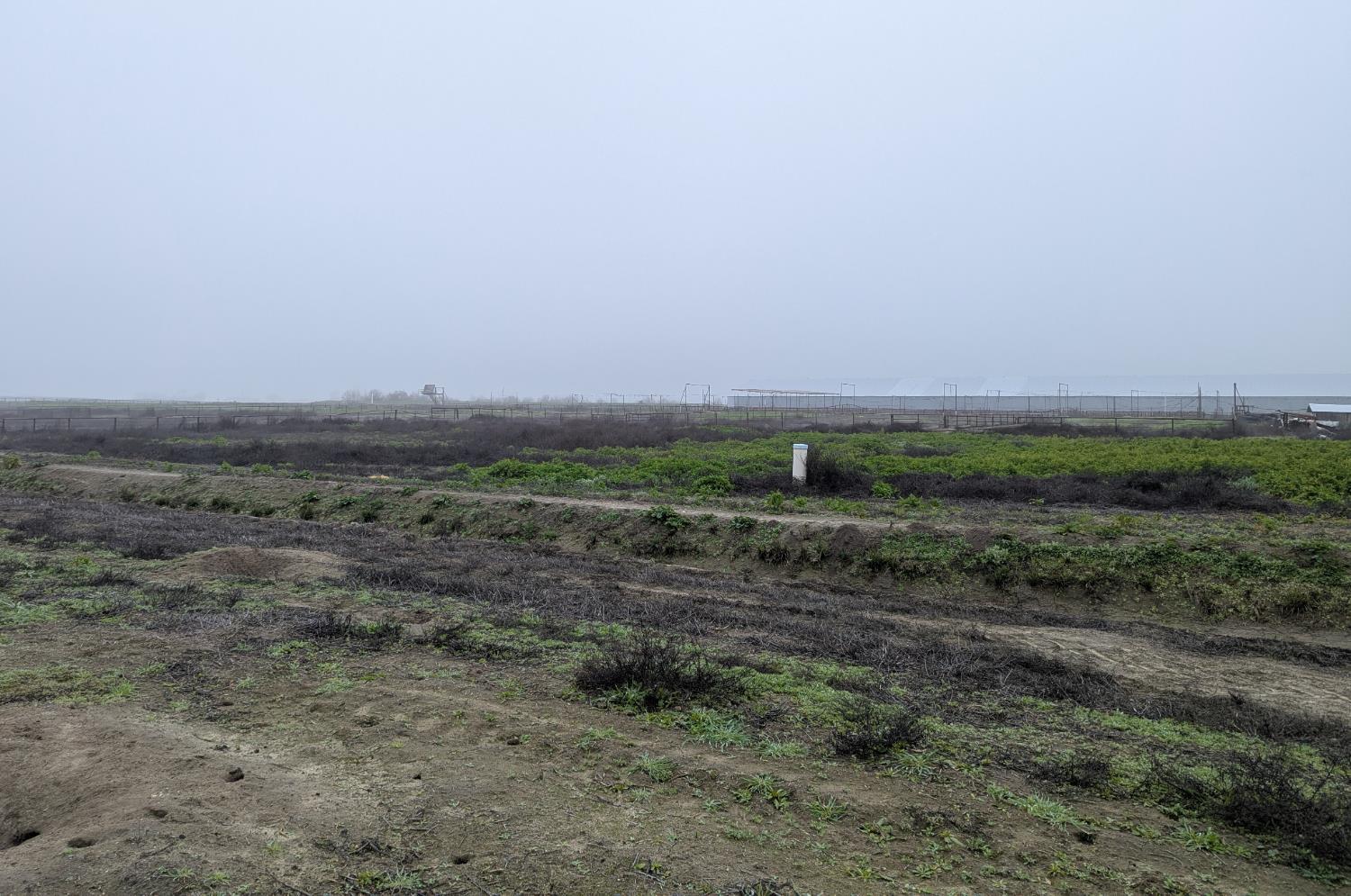 21075 19th Ave, Stratford, CA 93266