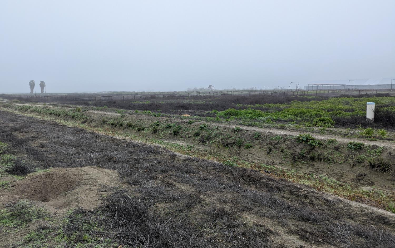 21075 19th Ave, Stratford, CA 93266