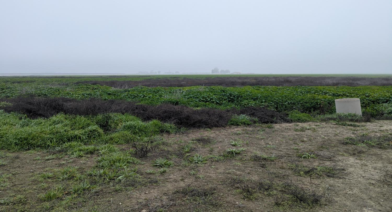 21075 19th Ave, Stratford, CA 93266