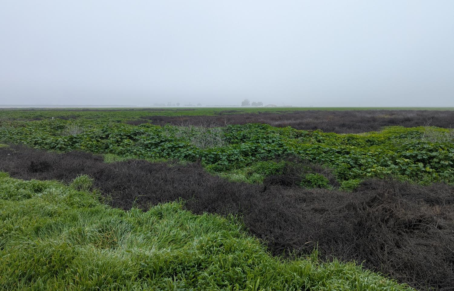 21075 19th Ave, Stratford, CA 93266