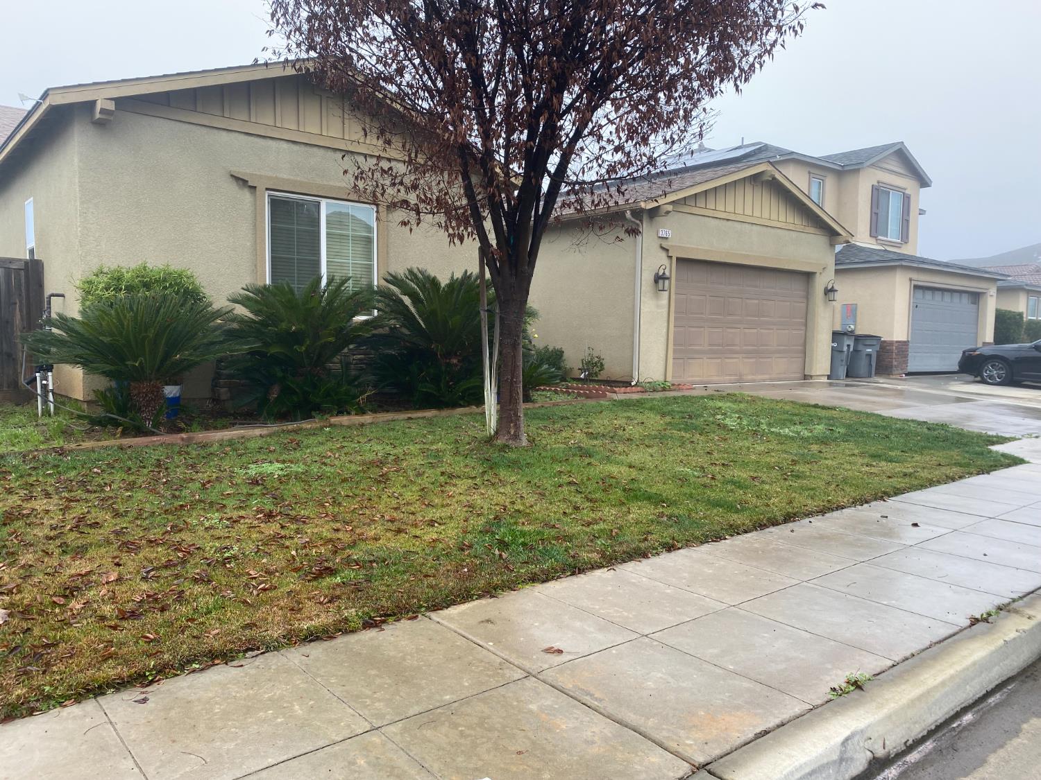 3765 N Pearwood Ave, Fresno, CA 93727