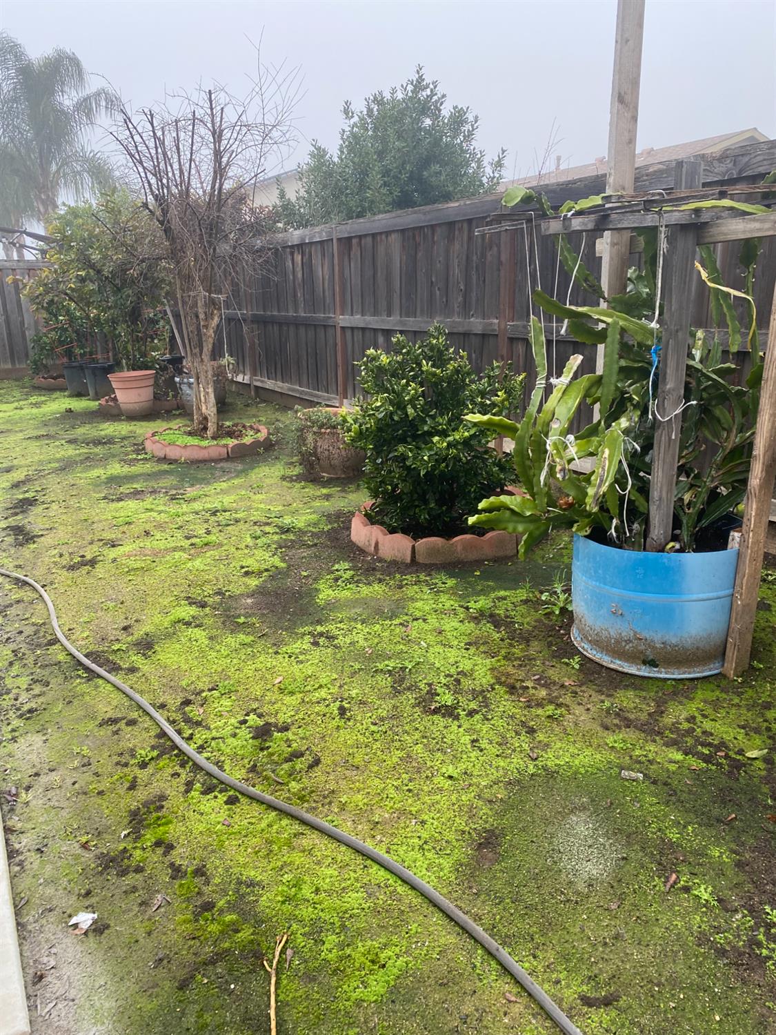 3765 N Pearwood Ave, Fresno, CA 93727