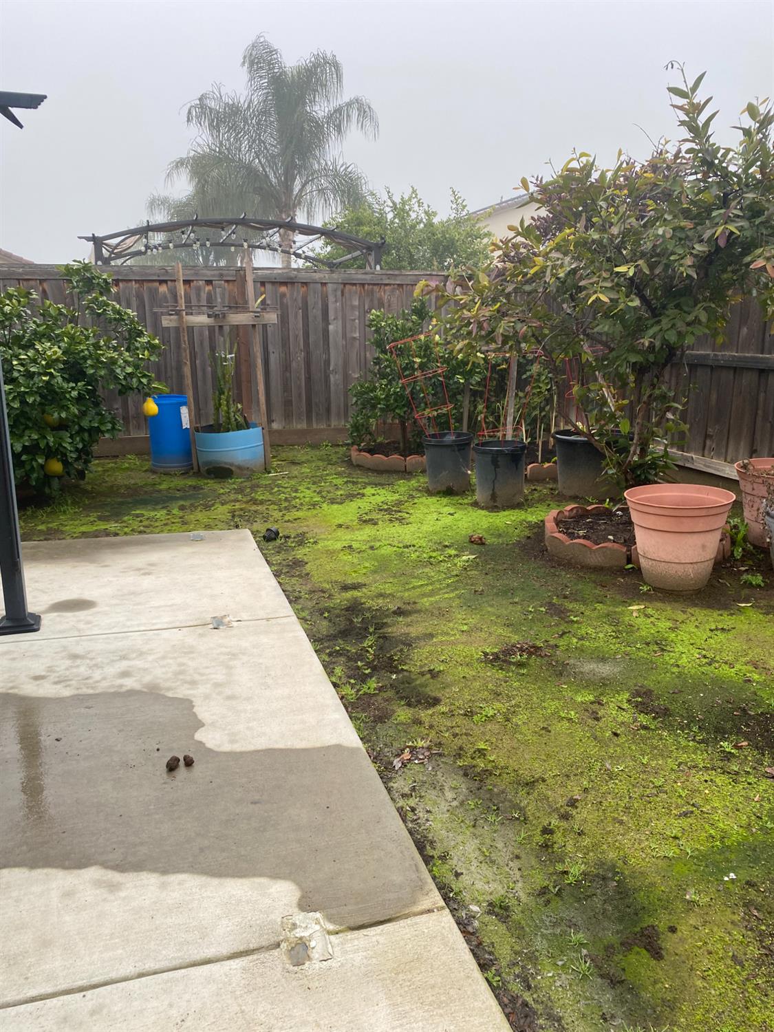 3765 N Pearwood Ave, Fresno, CA 93727