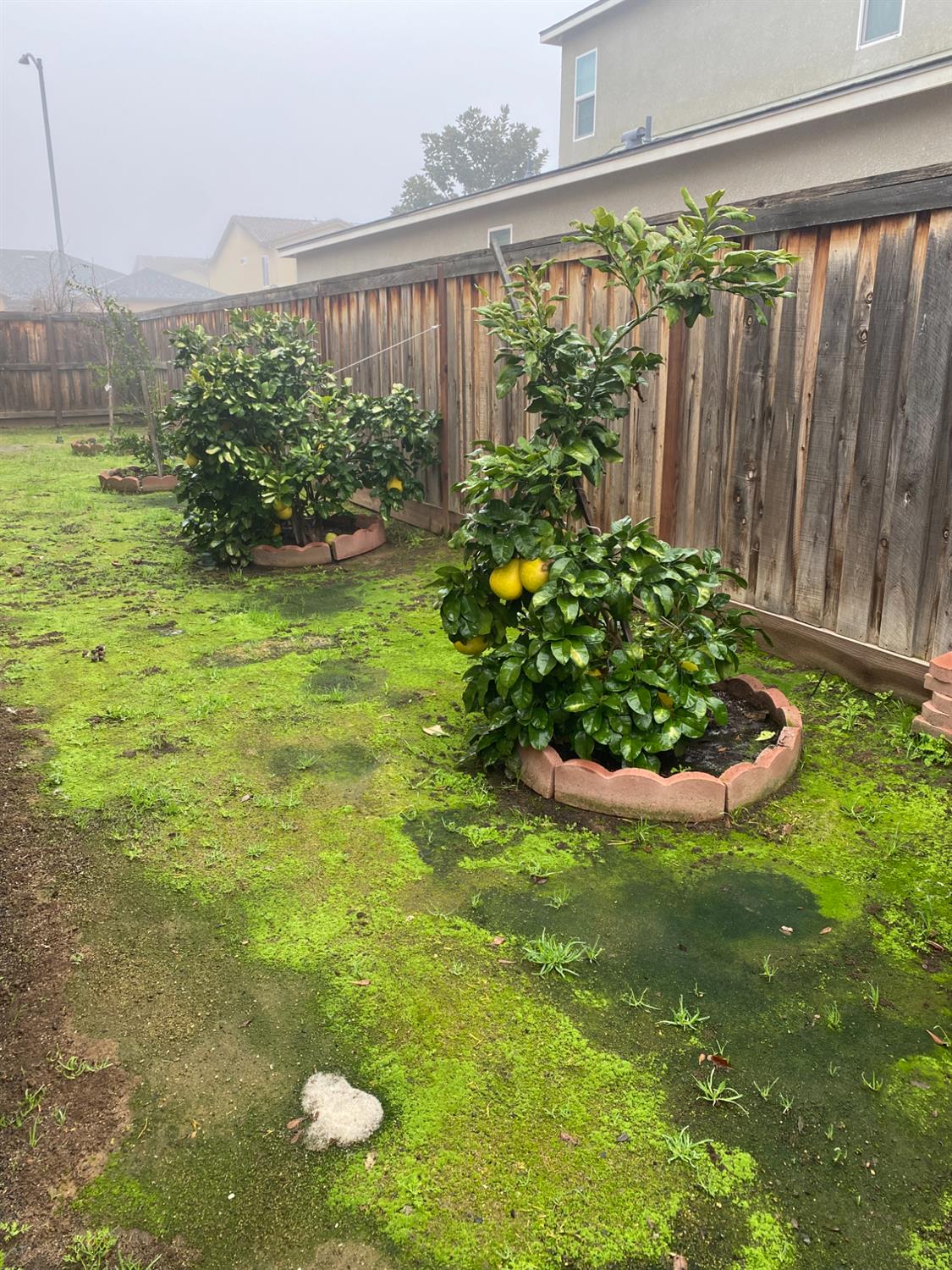 3765 N Pearwood Ave, Fresno, CA 93727