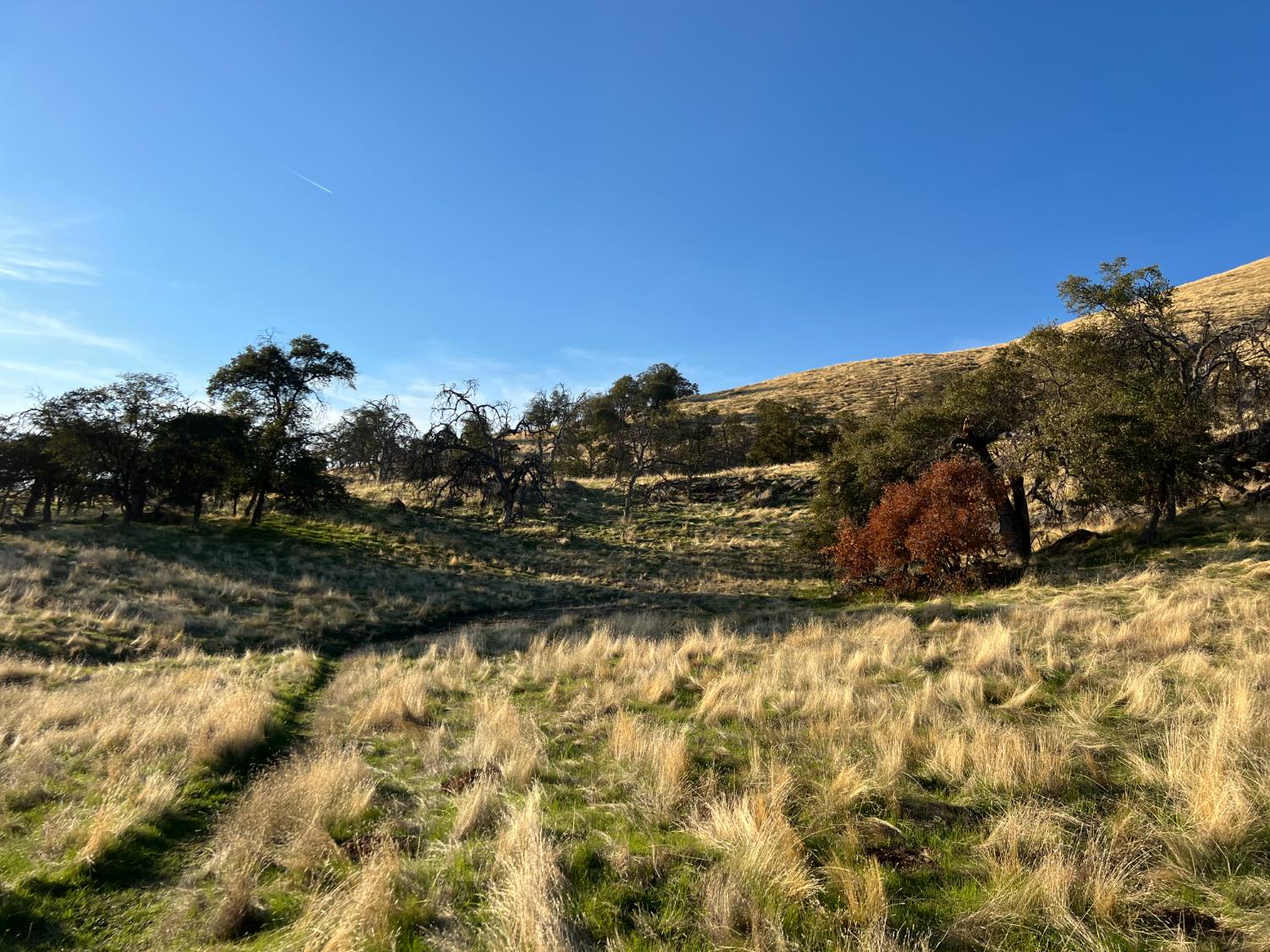 0 00 Seminole Rd, Tollhouse, CA 93667