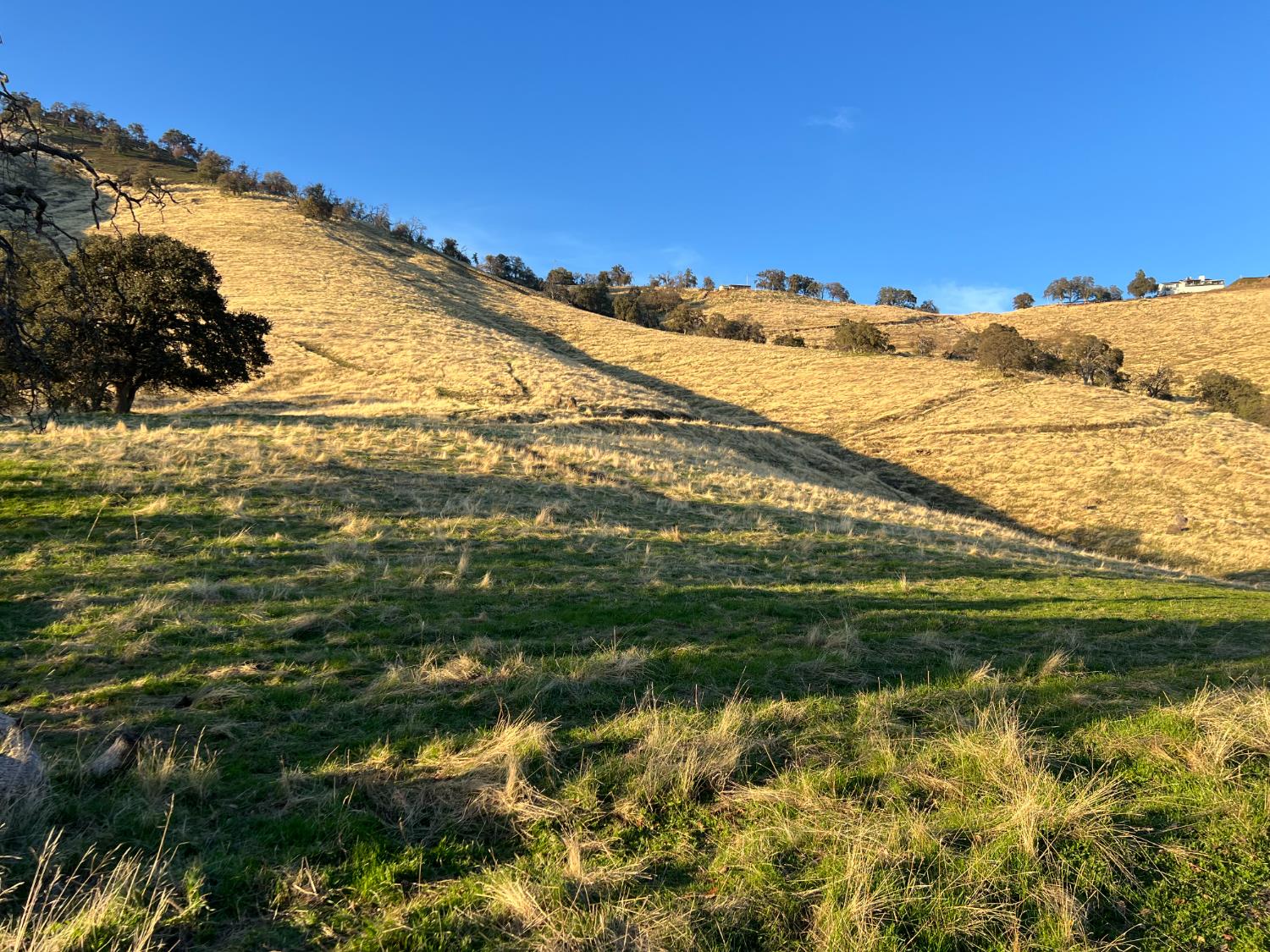 0 00 Seminole Rd, Tollhouse, CA 93667