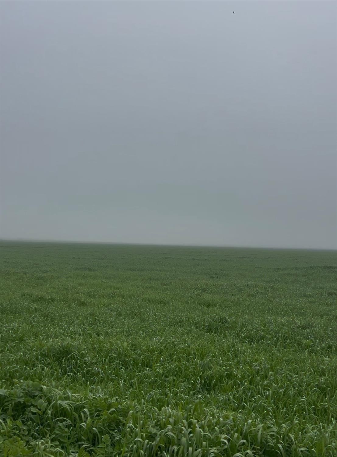 12010 E childs Ave, Le Grand, CA 95333