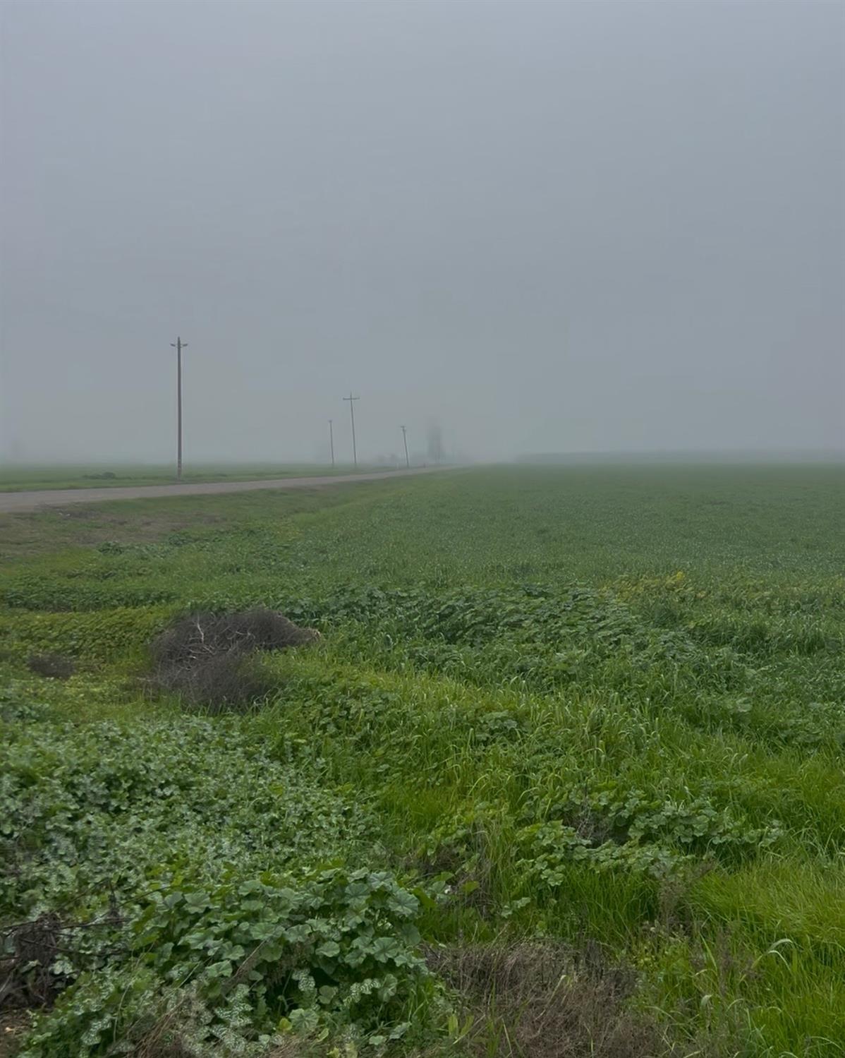 12010 E childs Ave, Le Grand, CA 95333