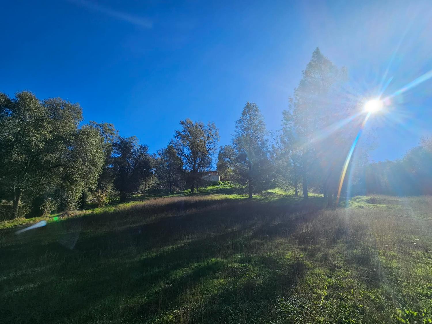 59366 Road 225, North Fork, CA 93643