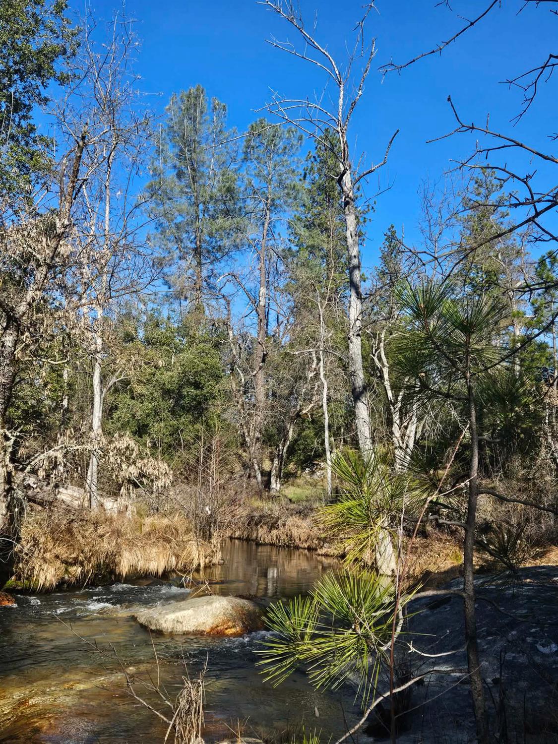 59366 Road 225, North Fork, CA 93643