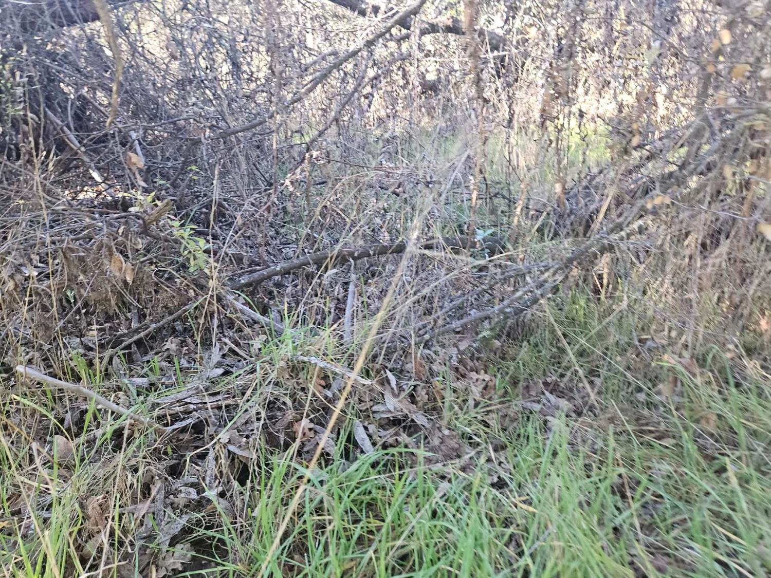 59366 Road 225, North Fork, CA 93643