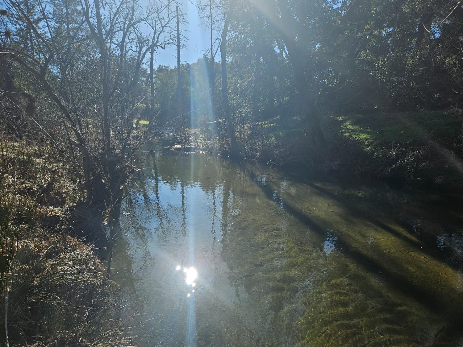 59366 Road 225, North Fork, CA 93643