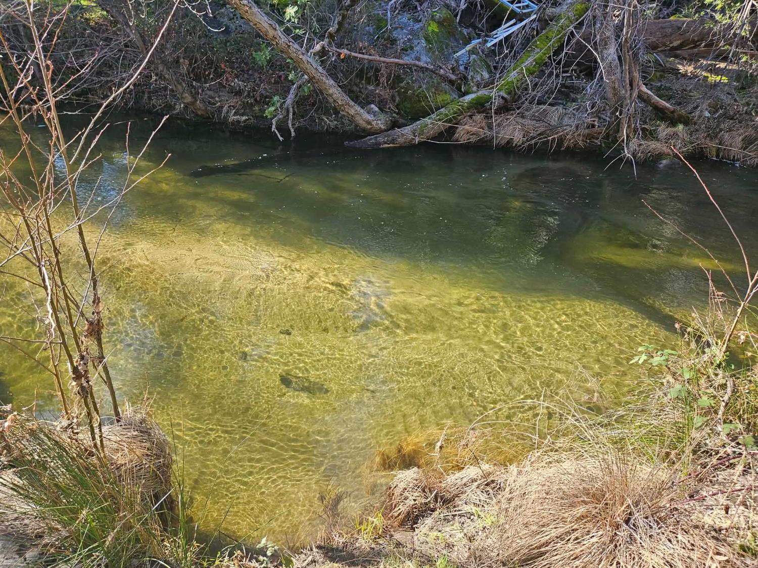 59366 Road 225, North Fork, CA 93643